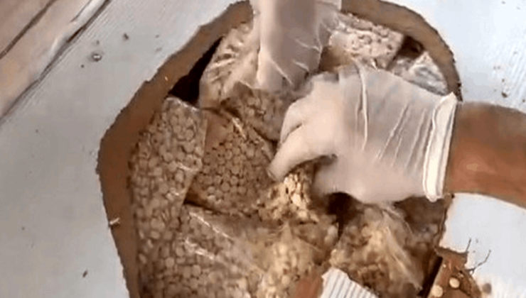 Gümrüklerde rekor; 33 ton 198 kilo uyuşturucu yakalandı