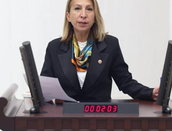 Süreyya Öneş Derici Kimdir