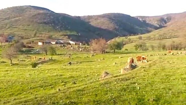 Köylünün kararlılığı madeni durdurdu