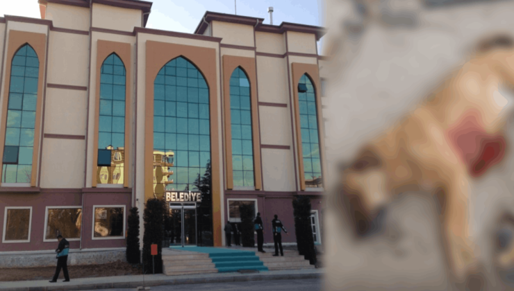 MHP’li belediye köpeği vurdu, müdahale eden tanıklar tutuklandı
