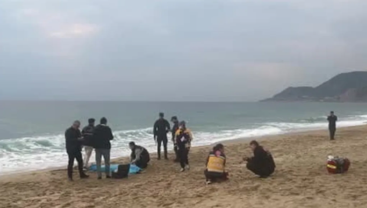 Turistlerin akın ettiği plajda dehşet! Görenler polisi aradı