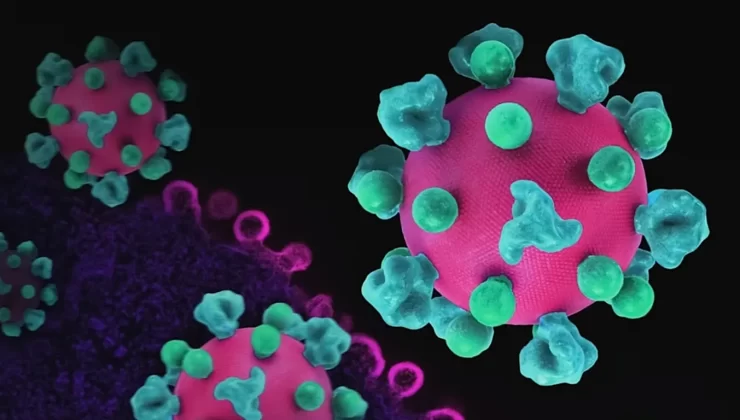 Yeni Bir Dev Virüs Keşfedildi: “Ushikuvirüs” Yaşamın Kökenine Dair Tartışmaları Yeniden Alevlendirdi