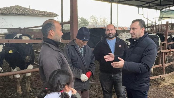 Manisalı Besicilerden Süt Fiyatlarına İsyan: “Hayvanları Satıp Kredileri Ödedik, Artık Dayanacak Gücümüz Kalmadı”
