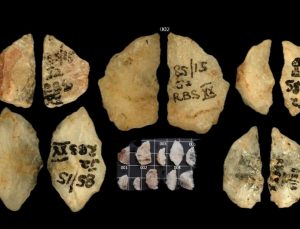 60.000 Yıllık Zehirli Oklar: Tarihin En Eski Kimyasal Silahları Güney Afrika’da Ortaya Çıkarıldı