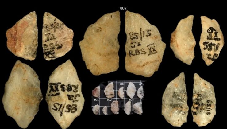 60.000 Yıllık Zehirli Oklar: Tarihin En Eski Kimyasal Silahları Güney Afrika’da Ortaya Çıkarıldı