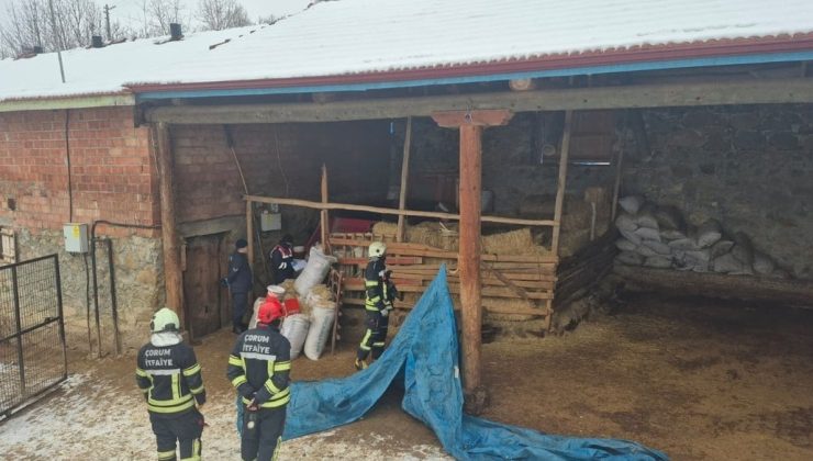 Çorum’da Feci İş Kazası: Yem Kırma Makinesine Düşen İlyas Bilgin Hayatını Kaybetti