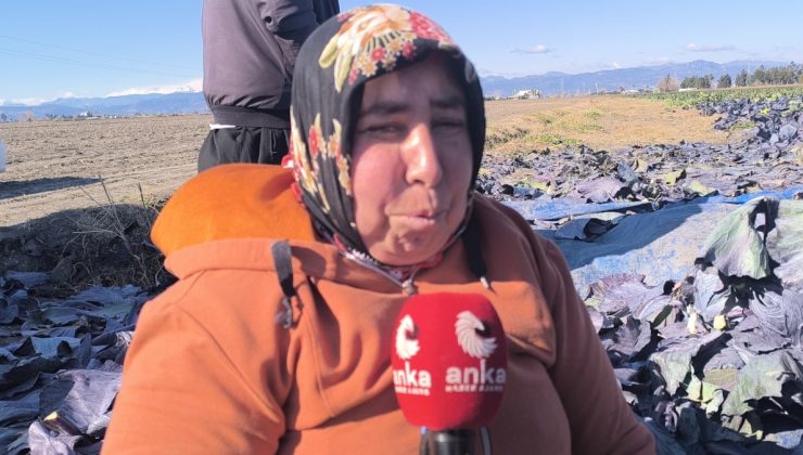 Kadirli’de Tarım İşçileri Soğukta ve Açlıkla Mücadele Ediyor: “Gelmezsem açım, gelirsem tokum”