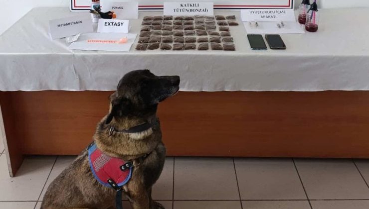 Kastamonu’da uyuşturucu operasyonu: 1 tutuklama