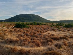Bilirkişi: Karaburun’daki GES Projesi Geri Dönülmez Zararlar Doğurur