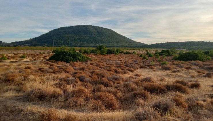 Bilirkişi: Karaburun’daki GES Projesi Geri Dönülmez Zararlar Doğurur