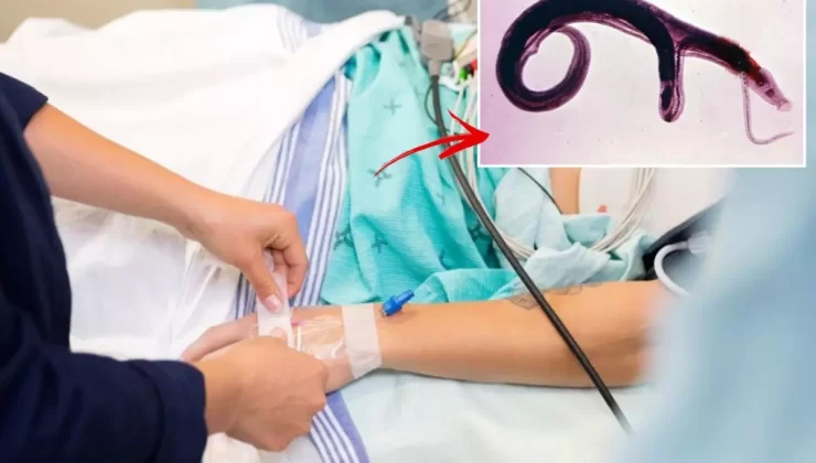 DSÖ’den küresel alarm! Cinsel organlara yerleşen parazit evrim geçirdi, yeni ülkelere yayılabilir