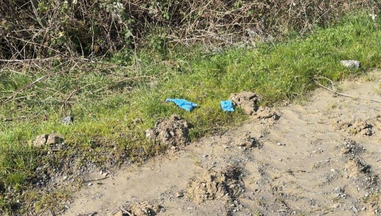 İstanbul’da vahşet! Kayıp Çinli iş insanı toprağa gömülü bulundu