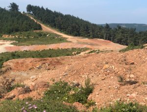 Tarım ve Ormanlar Yerine Madencilik: 548 Bin Hektar Ruhsat Sahası Satışta